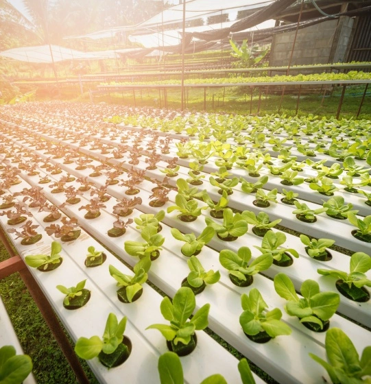 Agritech